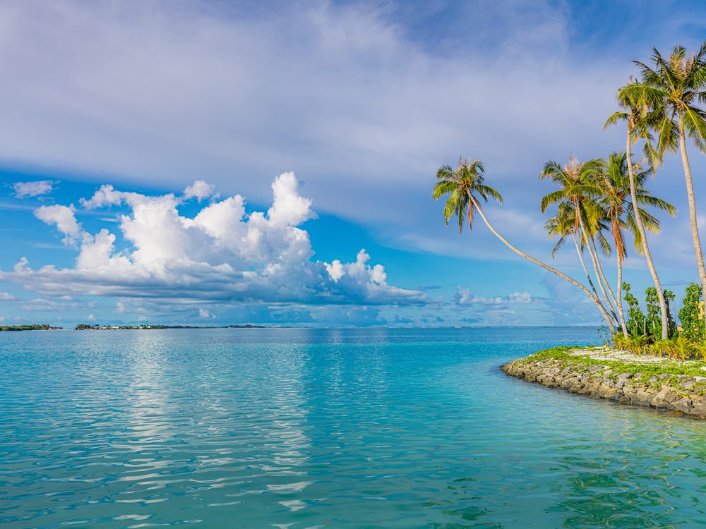 Sunny South Florida beach with coconut palm trees and turquoise sea