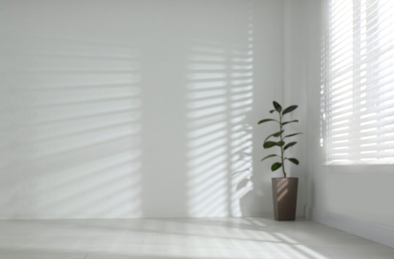 Bright, calm studio space with natural light